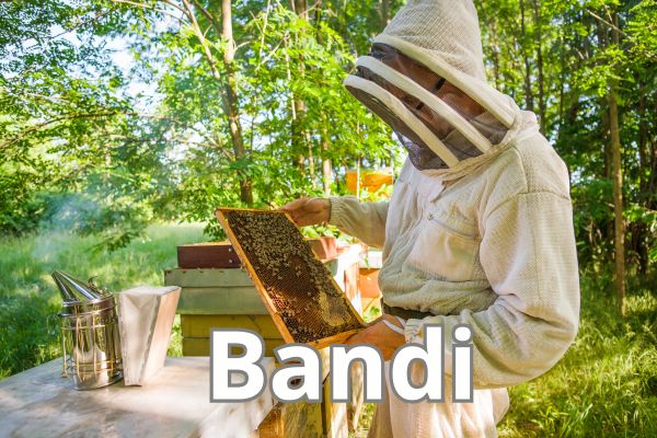 Contributi Apicoltura