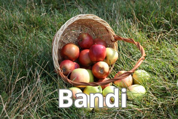 Valore Agricoltura – BANDO K