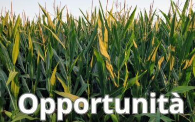 FONDO SOVRANITA’ ALIMENTARE