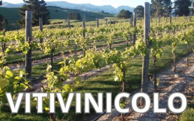 Autorizzazioni nuovi impianti viticoli